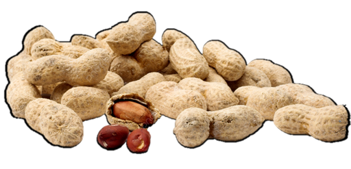 [500] Cacahuate Salvatierra 1 kg